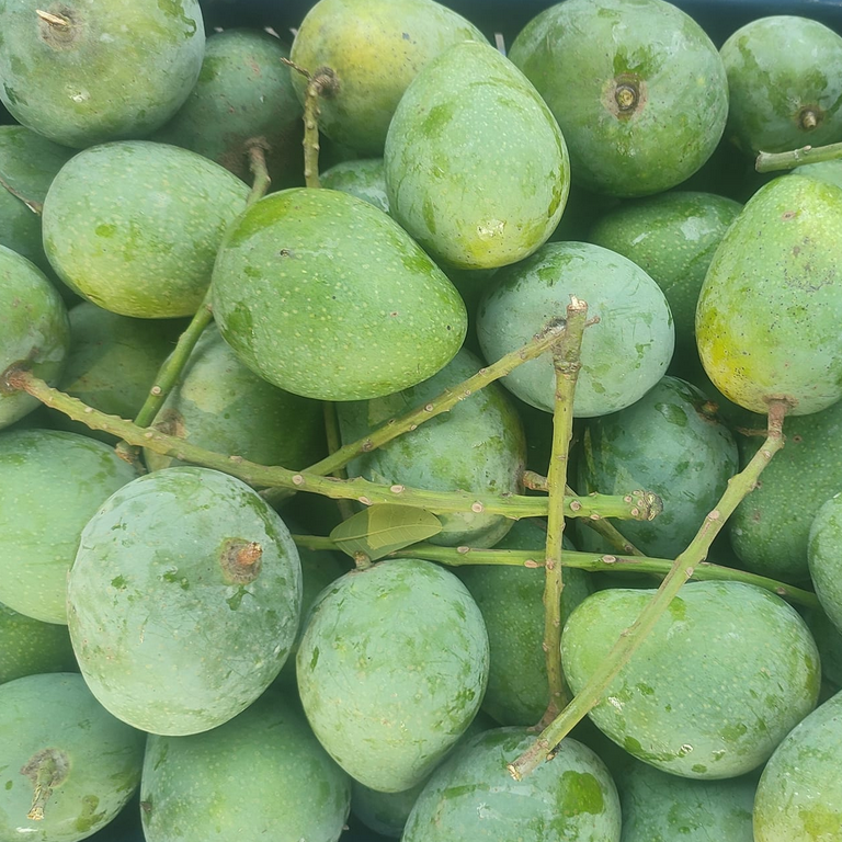 Ashwina Mango